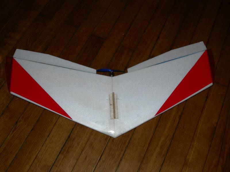 DizzyBird Unterseite DizzyBird Unterseite