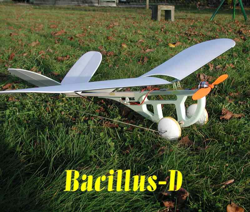 bacillus-d_klein.jpg bacillus-d_klein.jpg